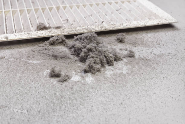 Best Home Air Vent Cleaning  in Monroeville, PA