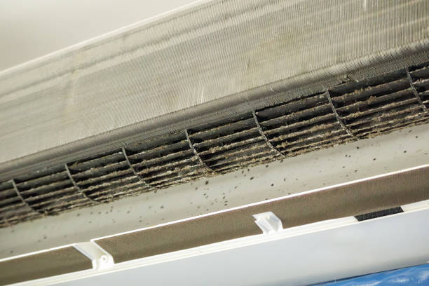 Best Dryer Vent Cleaning Services  in Monroeville, PA